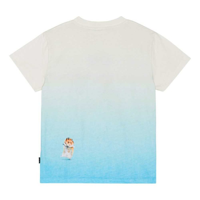 Dance Animals Boys' Molo Roxo T Shirts Tops | KSA000854