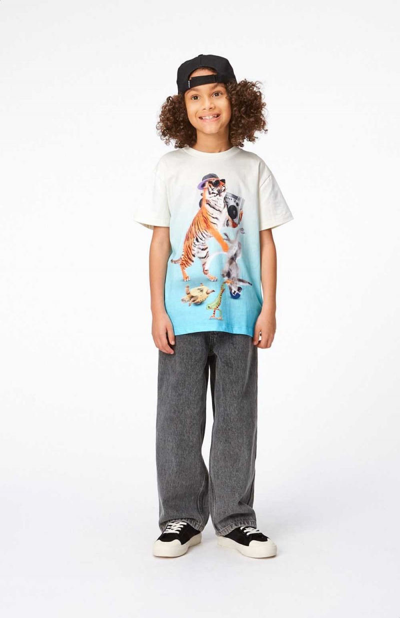 Dance Animals Boys' Molo Roxo T Shirts Tops | KSA000854