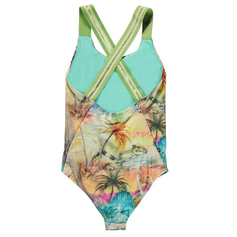 Dino Paradis Molo Neve Swimsuits | KSA001204