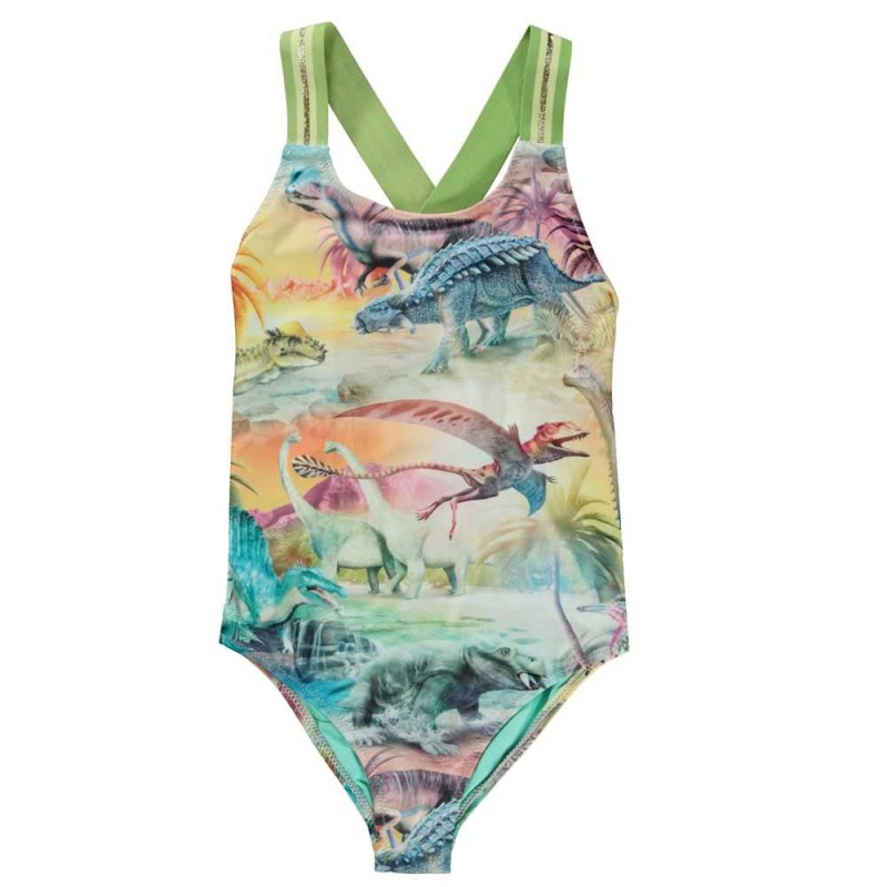 Dino Paradis Molo Neve Swimsuits | KSA001204