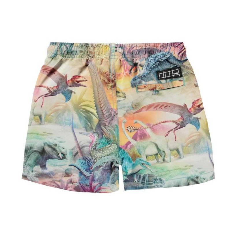 Dino Paradis Molo Niko Swimshorts | KSA001132