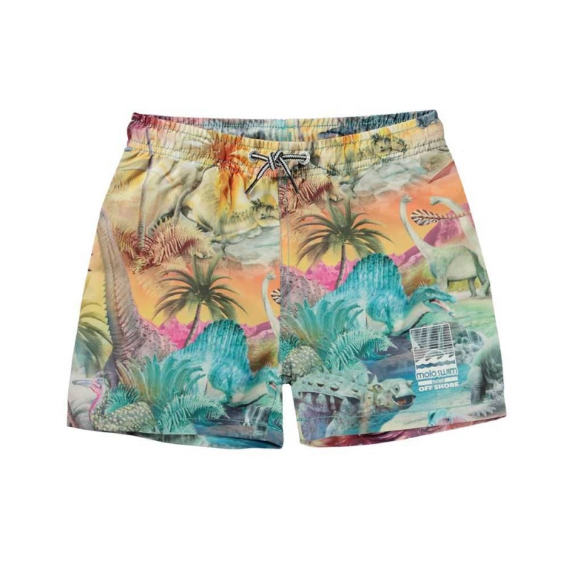 Dino Paradis Molo Niko Swimshorts | KSA001132