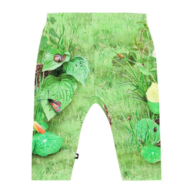 Garden Nature Baby Girl Molo Sabb Pants Jeans | KSA001366