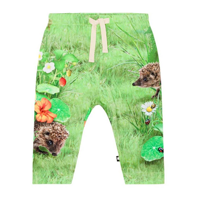 Garden Nature Baby Girl Molo Sabb Pants Jeans | KSA001366