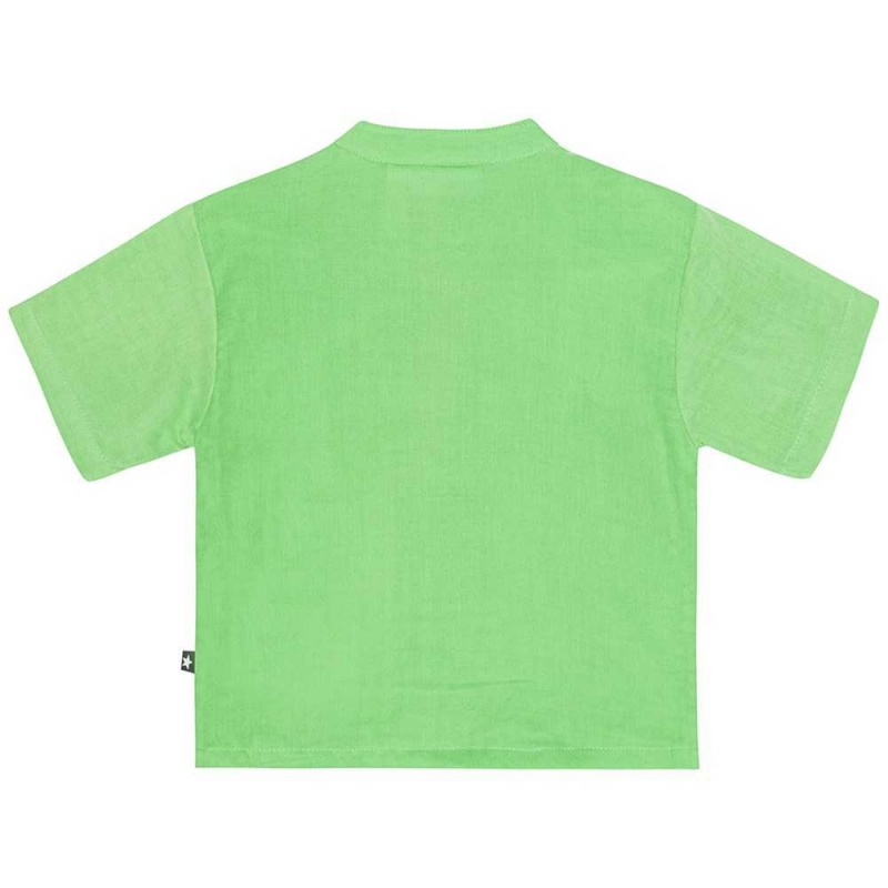 Grass Green Baby Boy Molo Ever T Shirts Tops | KSA001419