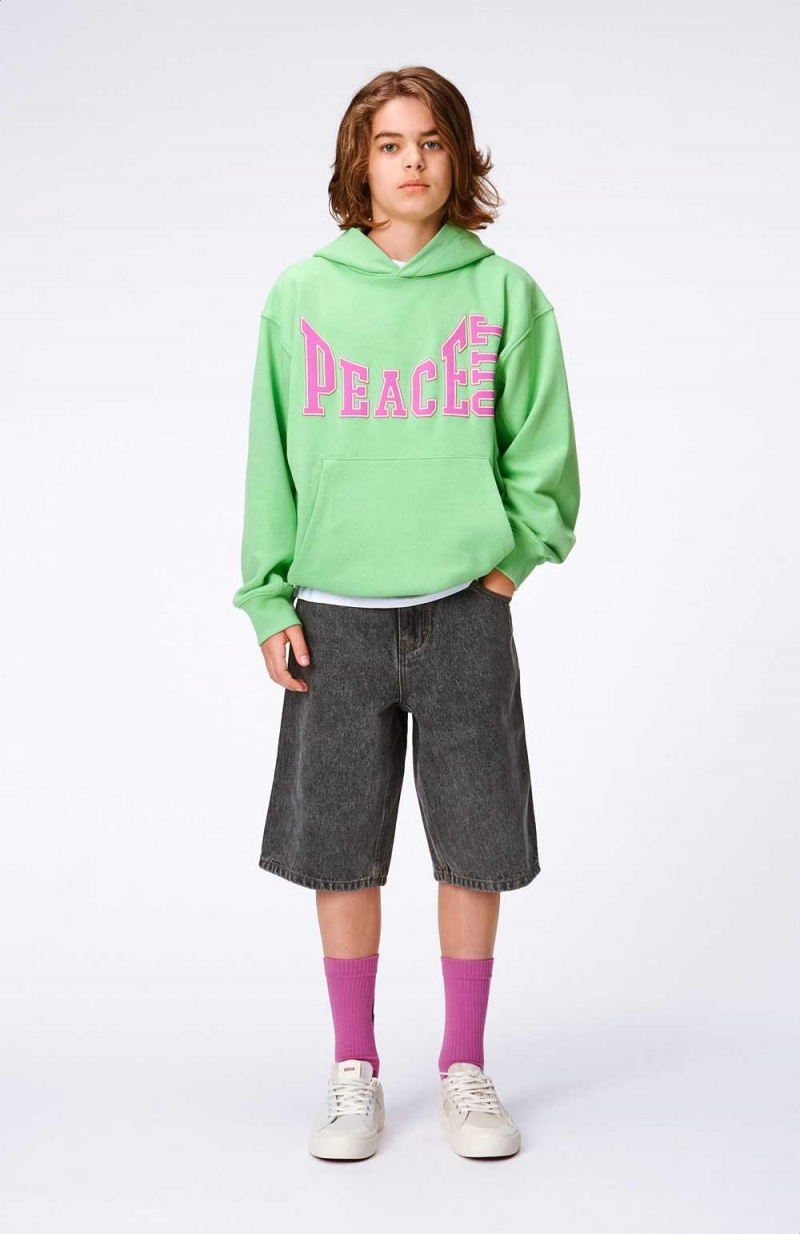 Grass Green Boys' Molo Maxx Sweatshirts Cardigans | KSA000738