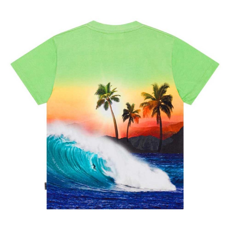 Green Sunset Boys' Molo Roxo T Shirts Tops | KSA000771