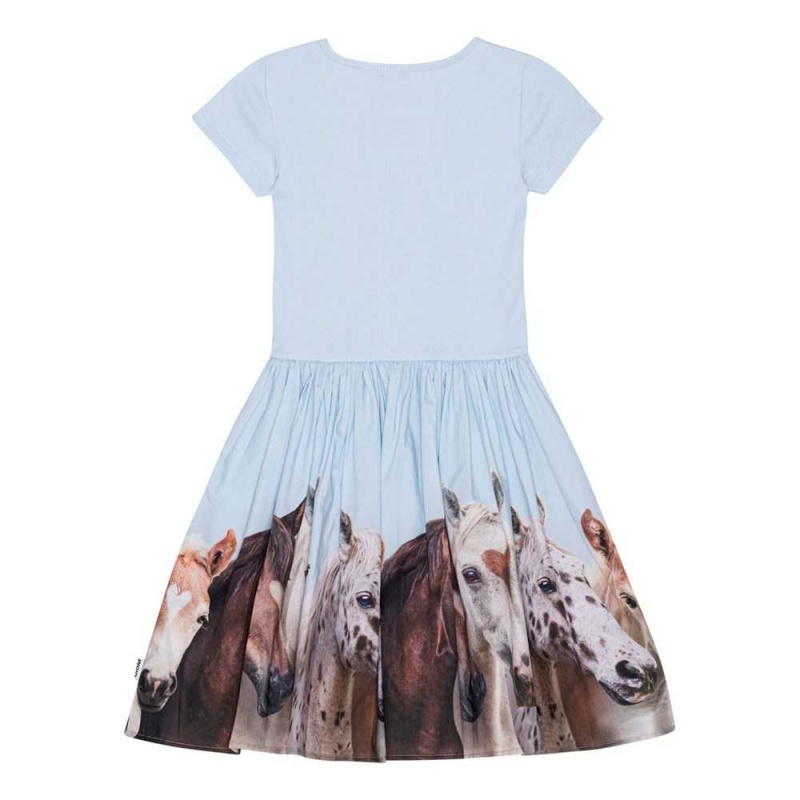 Group Of Hearts Girls' Molo Cissa Dresses | KSA000280