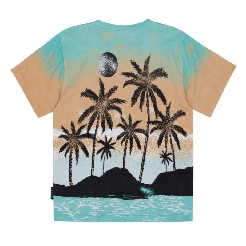 Holiday Island Boys' Molo Riley T Shirts Tops | KSA000778