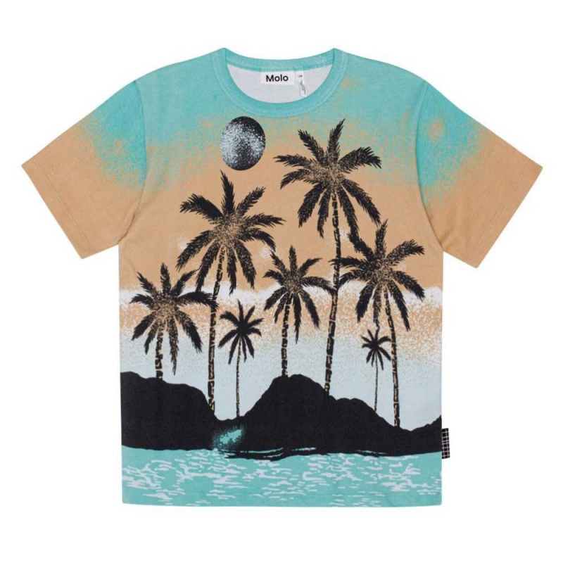 Holiday Island Boys\' Molo Riley T Shirts Tops | KSA000778