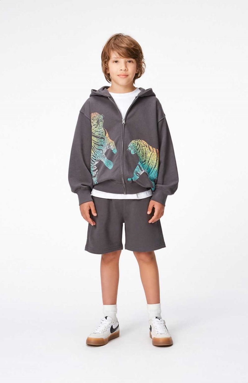 Iron Gate Boys' Molo Mazzo Sweatshirts Cardigans | KSA000740