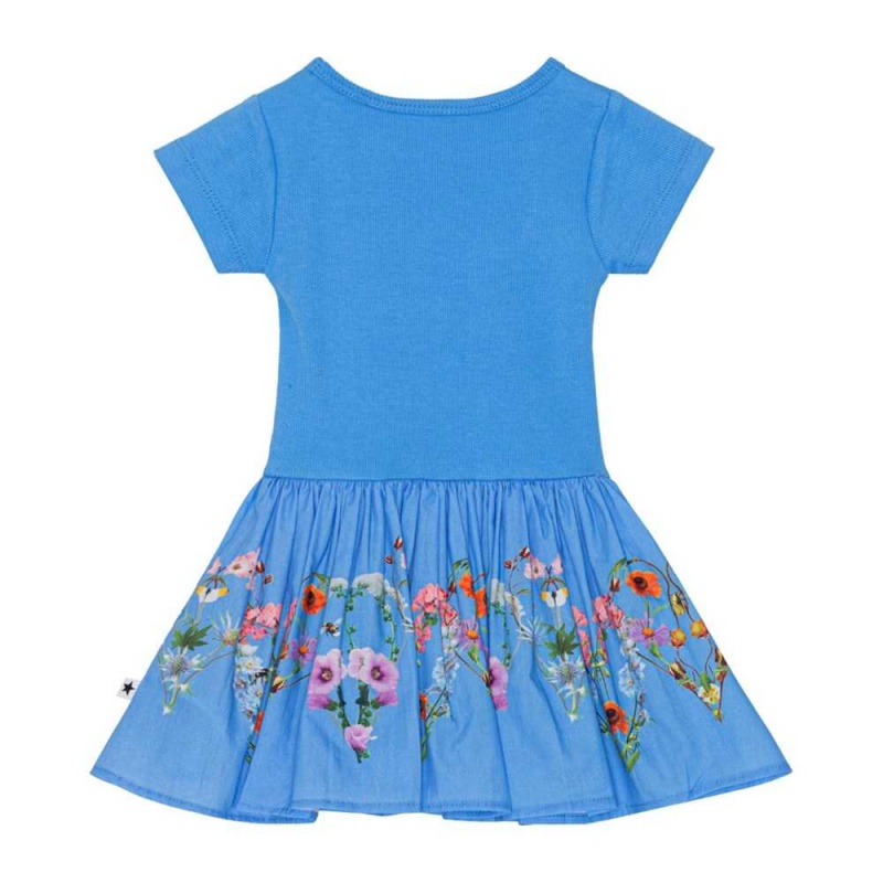 Little Garden Baby Girl Molo Carin Dresses | KSA001308