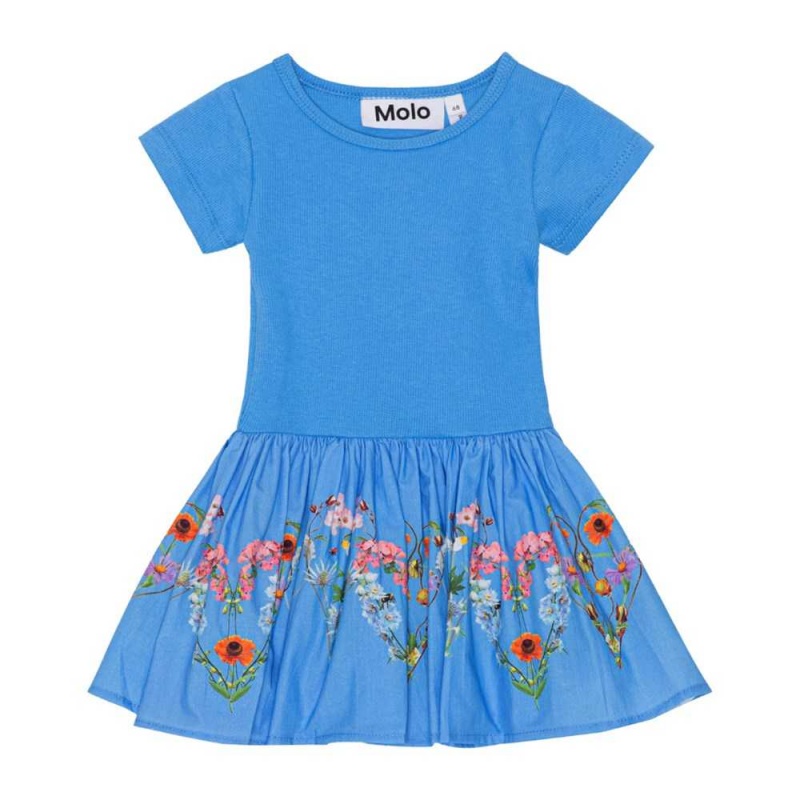 Little Garden Baby Girl Molo Carin Dresses | KSA001308