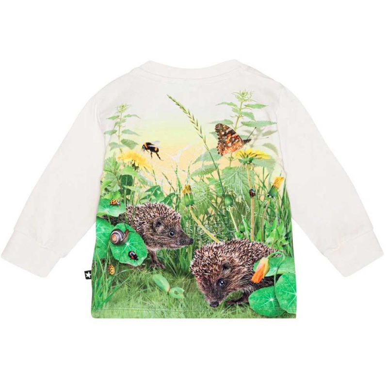 Living Garden Baby Girl Molo Eloy T Shirts Tops | KSA001433