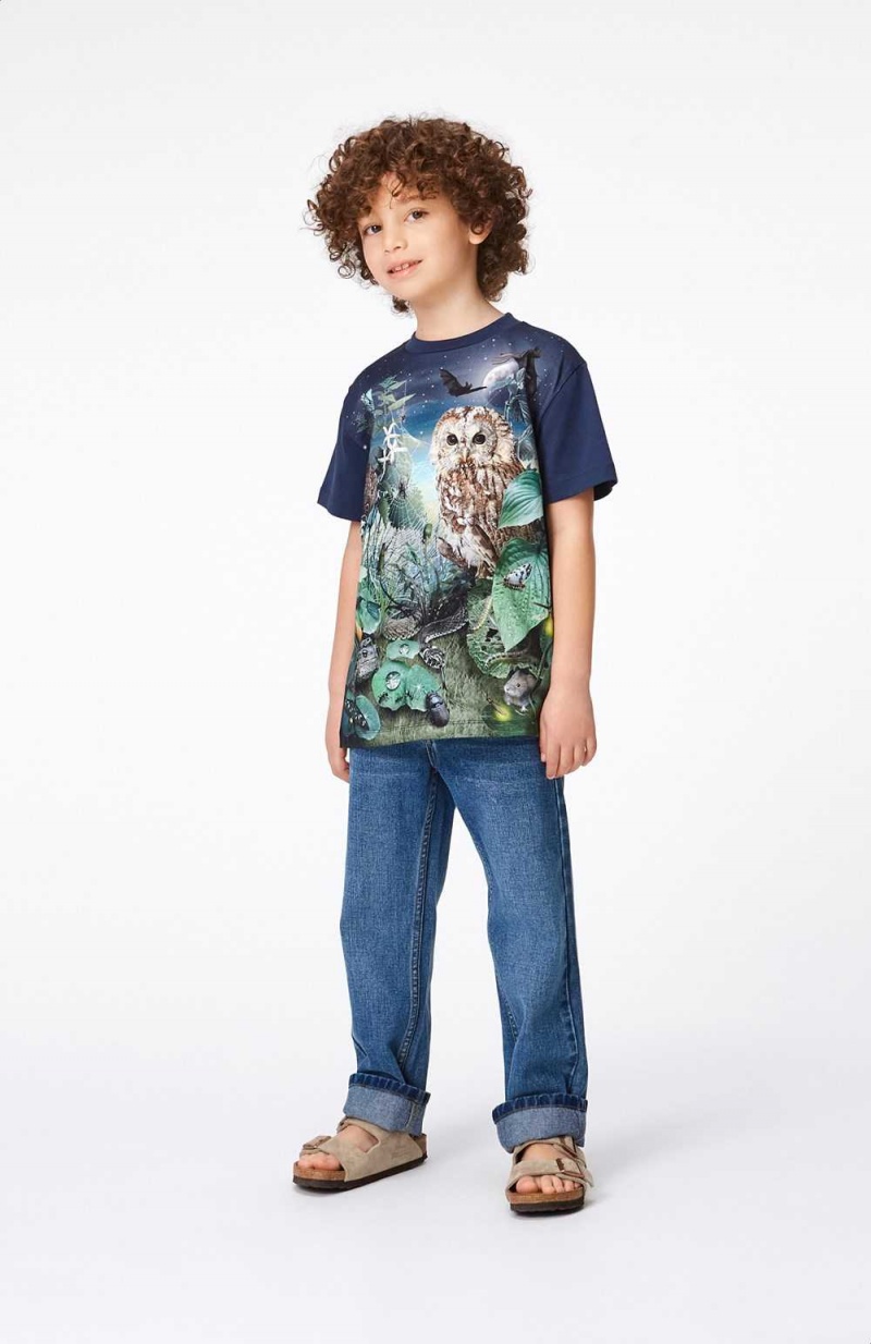 Night Garden Boys' Molo Roxo T Shirts Tops | KSA000826