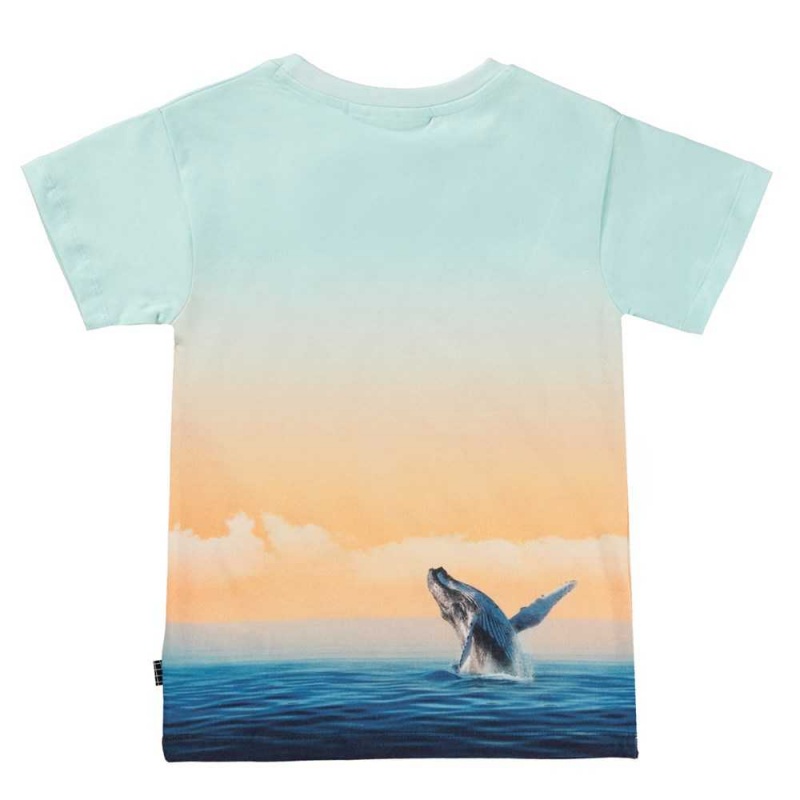 Ocean Smile Boys' Molo Raul T Shirts Tops | KSA000631