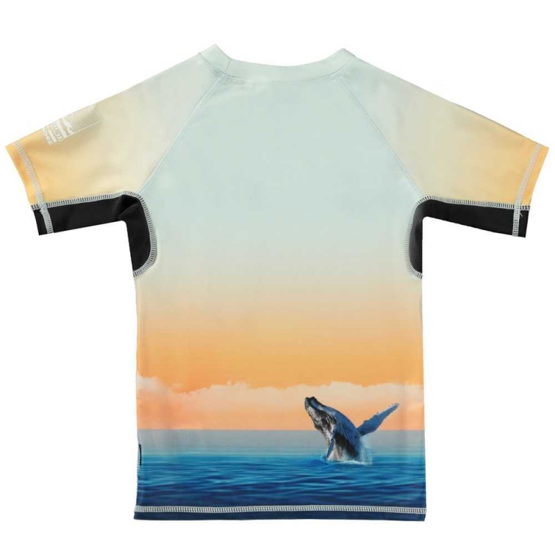 Ocean Smile Molo Neptune Rash guards | KSA001089