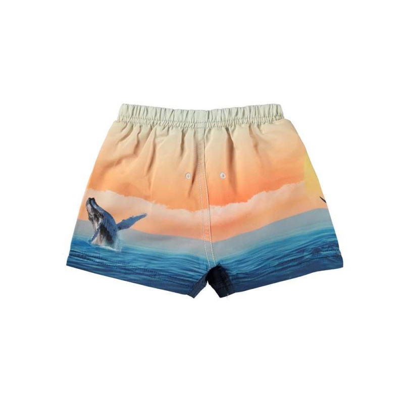 Ocean Smile Molo Newton Swimshorts | KSA001149