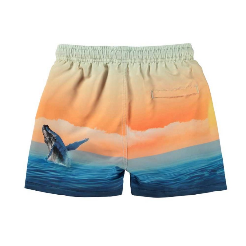 Ocean Smile Molo Niko Swimshorts | KSA001143