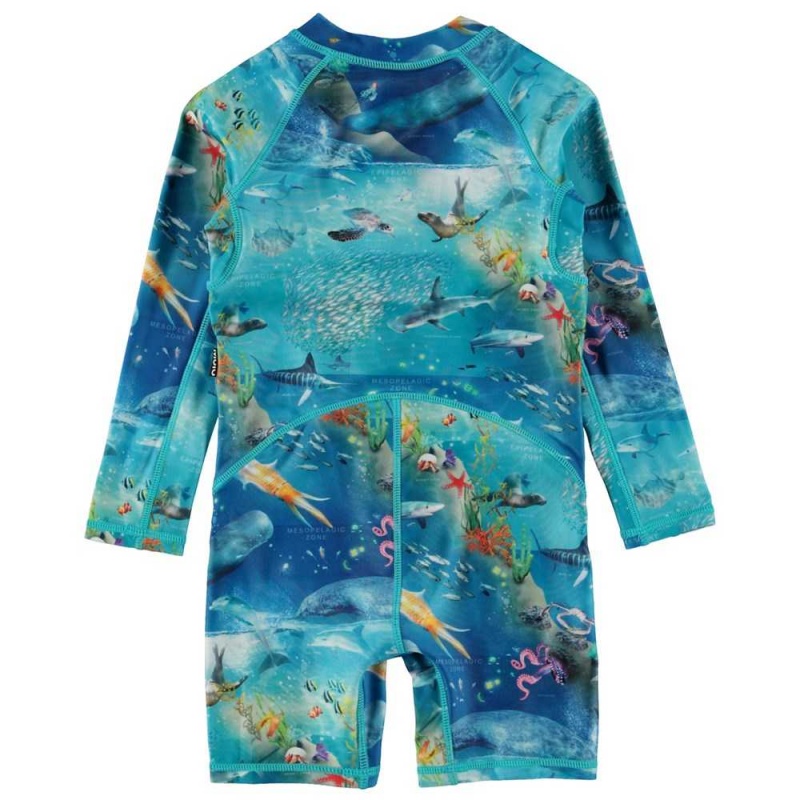 Ocean Zones Molo Neka LS Rash guard suits | KSA001064