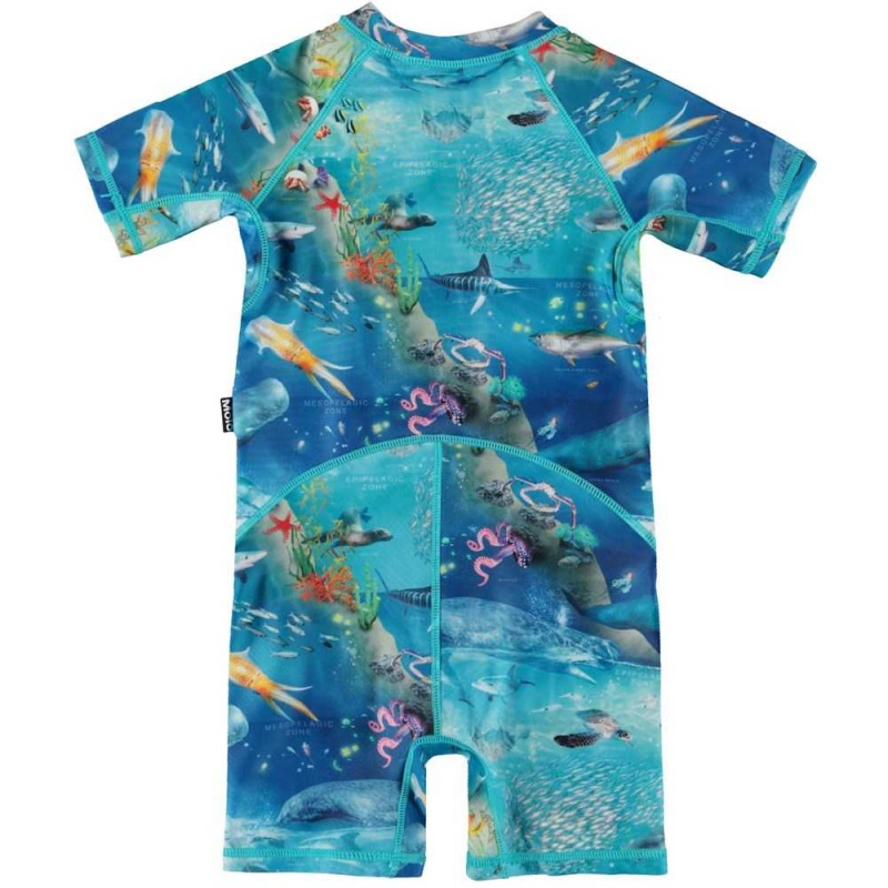 Ocean Zones Molo Neka Rash guard suits | KSA001063