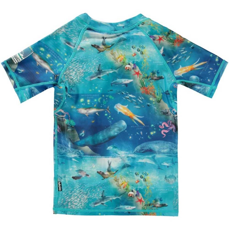 Ocean Zones Molo Neptune Rash guards | KSA001086