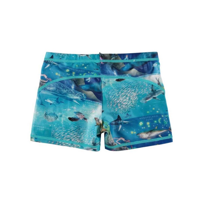 Ocean Zones Molo Norton Swimshorts | KSA001136