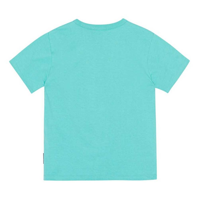 Pacific Boys' Molo Riley T Shirts Tops | KSA000830