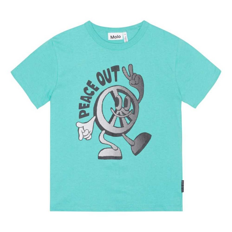 Pacific Boys\' Molo Riley T Shirts Tops | KSA000830