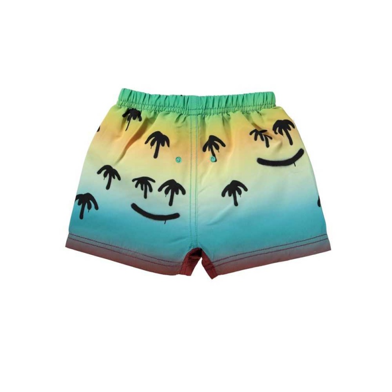 Palm Spray Molo Newton Swimshorts | KSA001118