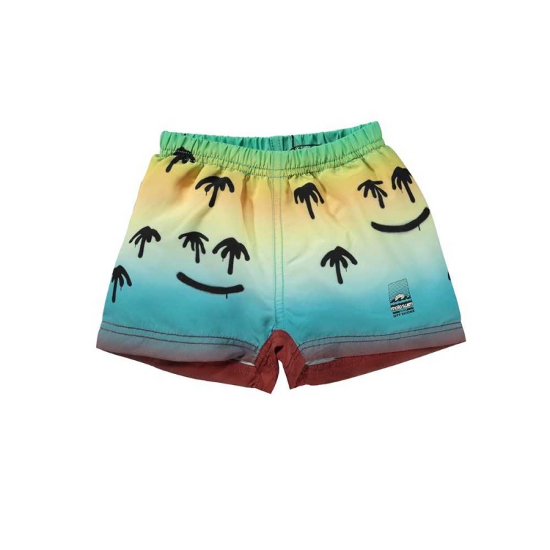 Palm Spray Molo Newton Swimshorts | KSA001118