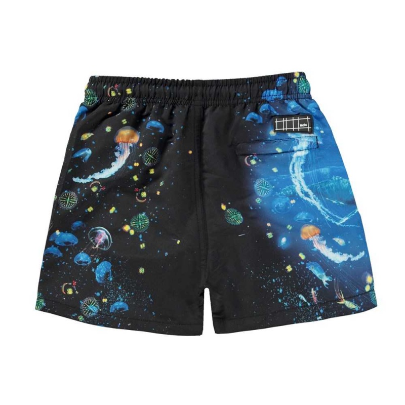 Plankton Molo Niko Swimshorts | KSA001159