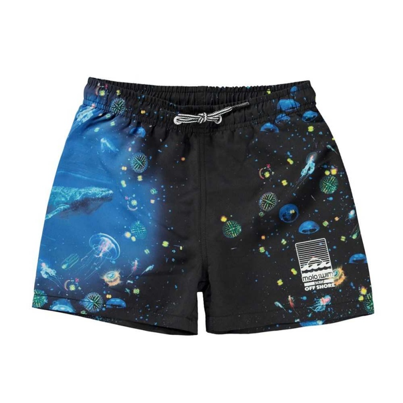 Plankton Molo Niko Swimshorts | KSA001159