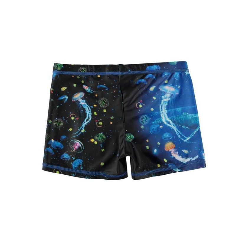 Plankton Molo Norton Placed Swimshorts | KSA001151