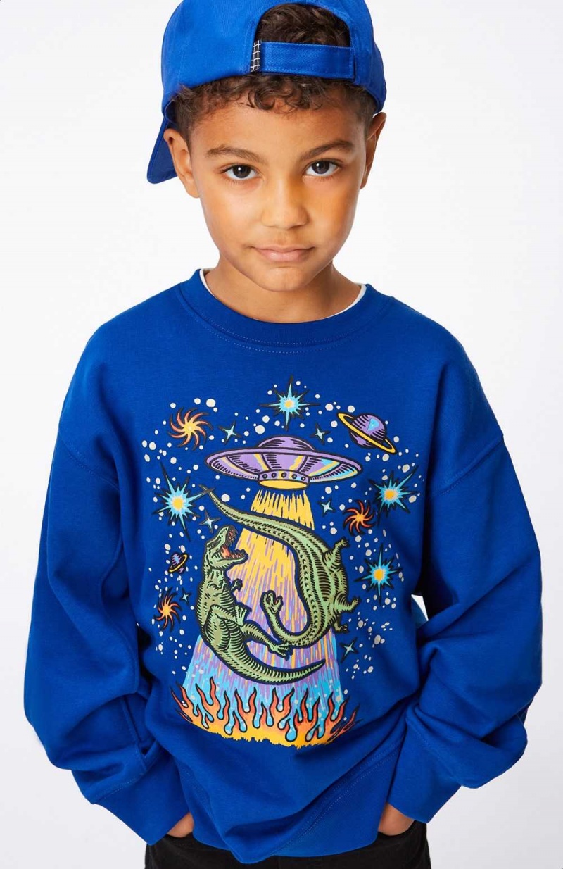 Reef Blue Boys' Molo Magni Sweatshirts Cardigans | KSA000758