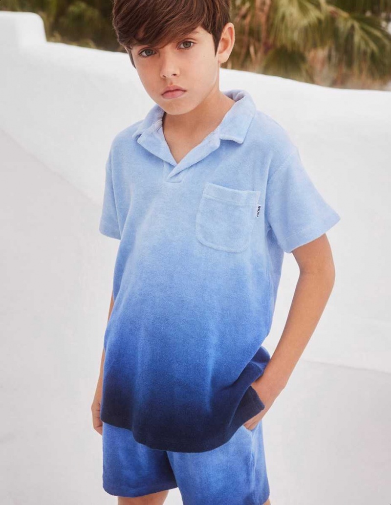 Reef Blue Boys' Molo Randel T Shirts Tops | KSA000637