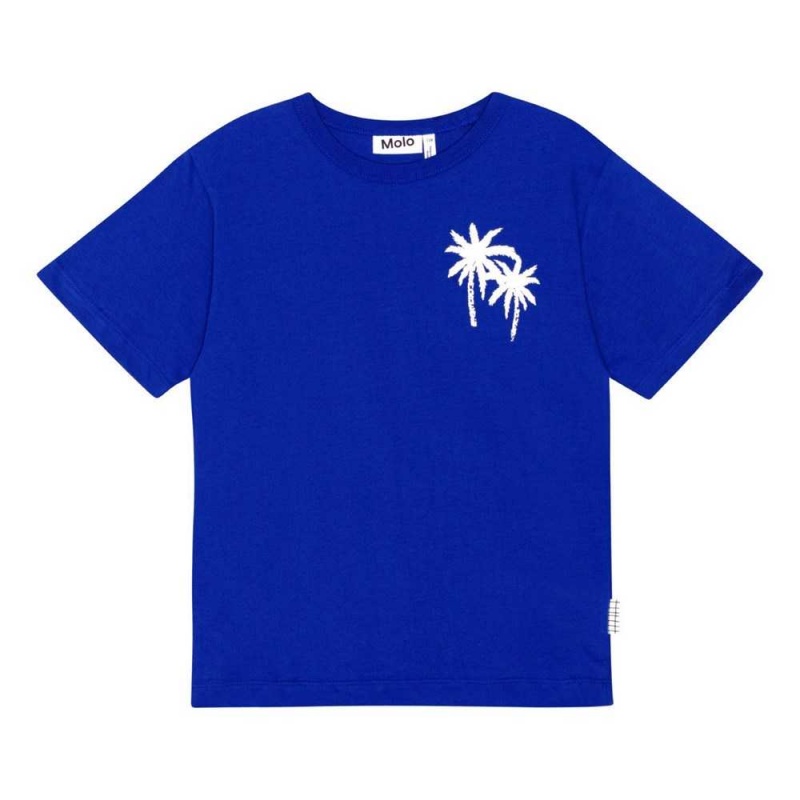 Reef Blue Boys' Molo Riley T Shirts Tops | KSA000770