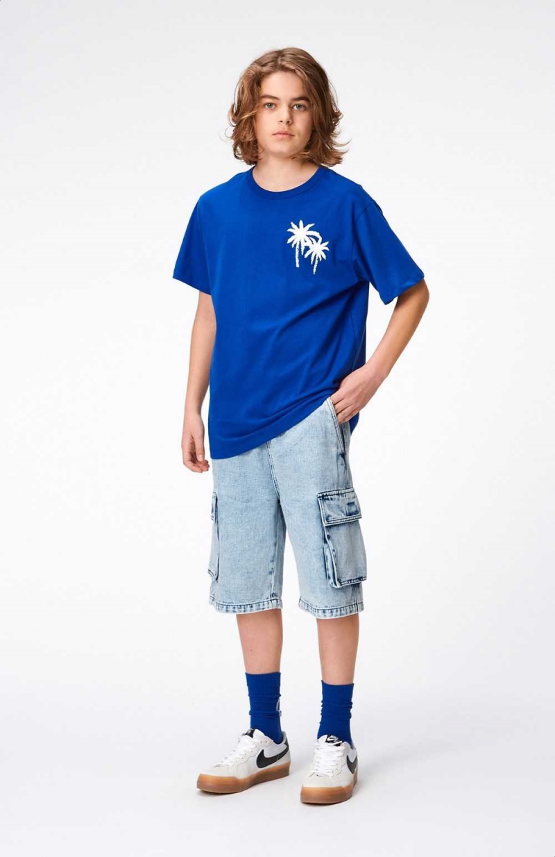 Reef Blue Boys' Molo Riley T Shirts Tops | KSA000770