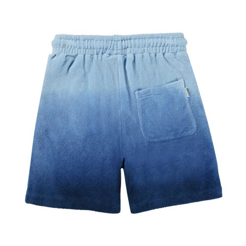 Reef Blue Molo Abay Shorts | KSA001027