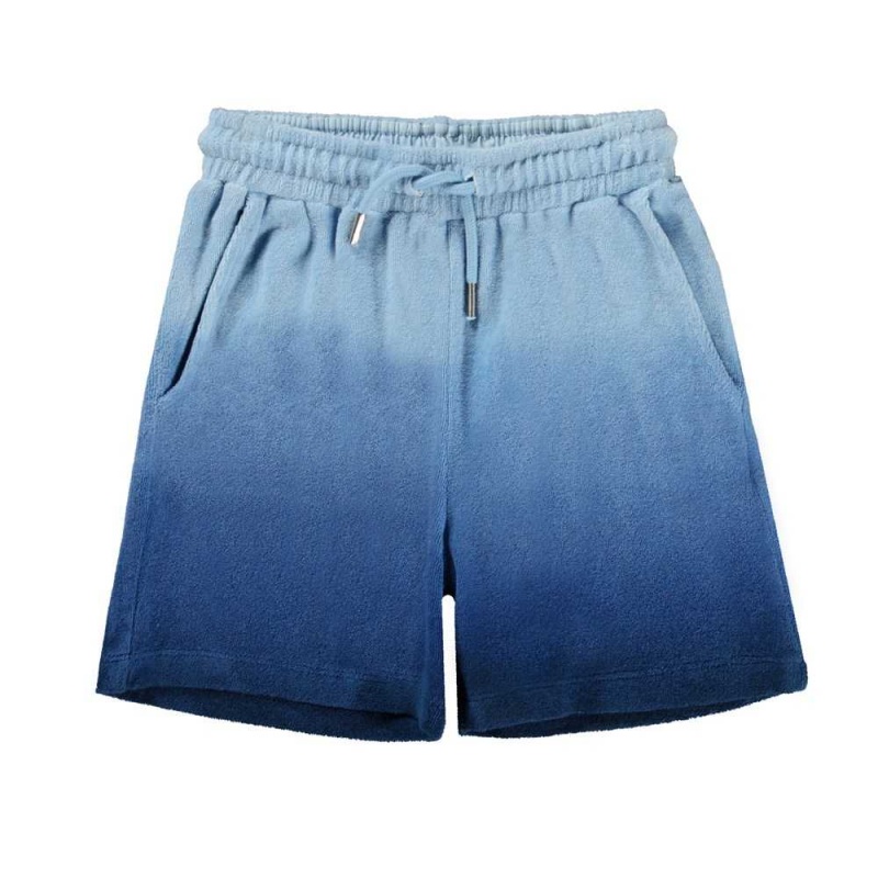 Reef Blue Molo Abay Shorts | KSA001027