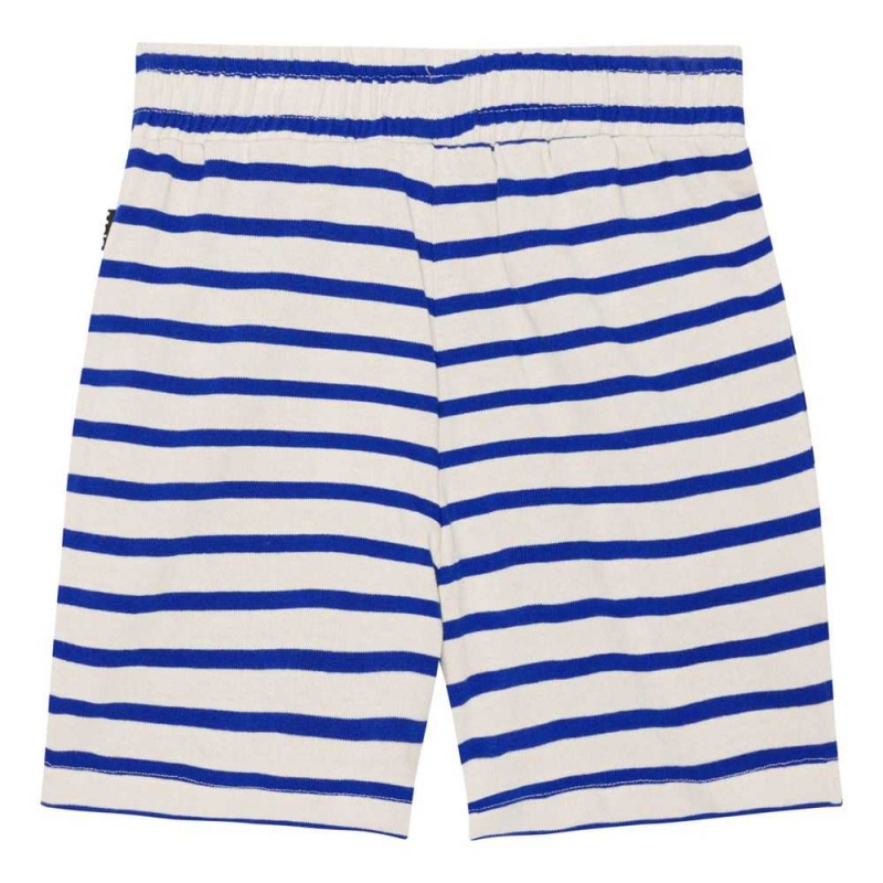 Reef Stripe Boys' Molo Aelius Shorts | KSA000705