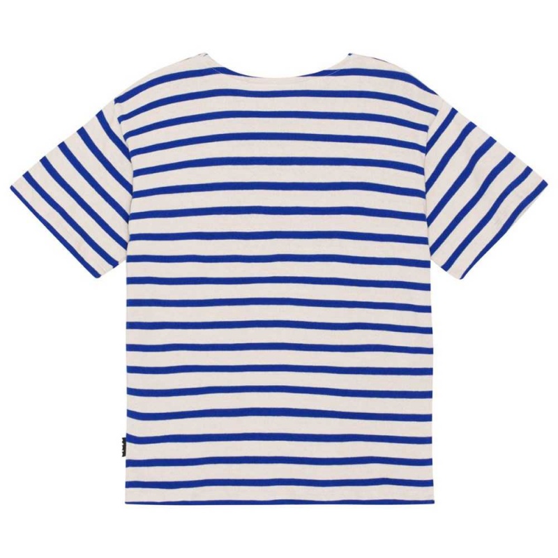 Reef Stripe Boys' Molo Rilee T Shirts Tops | KSA000797