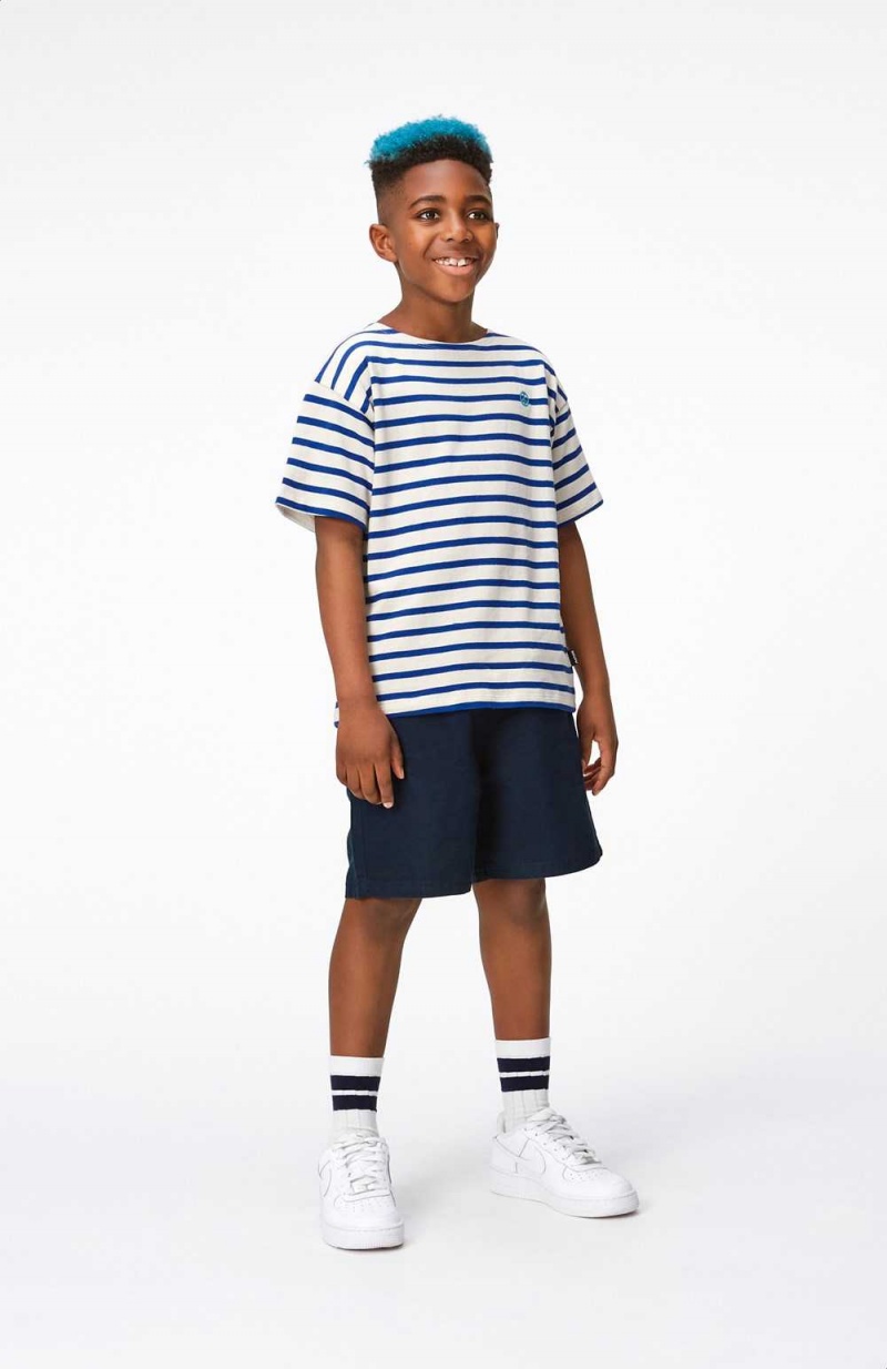 Reef Stripe Boys' Molo Rilee T Shirts Tops | KSA000797