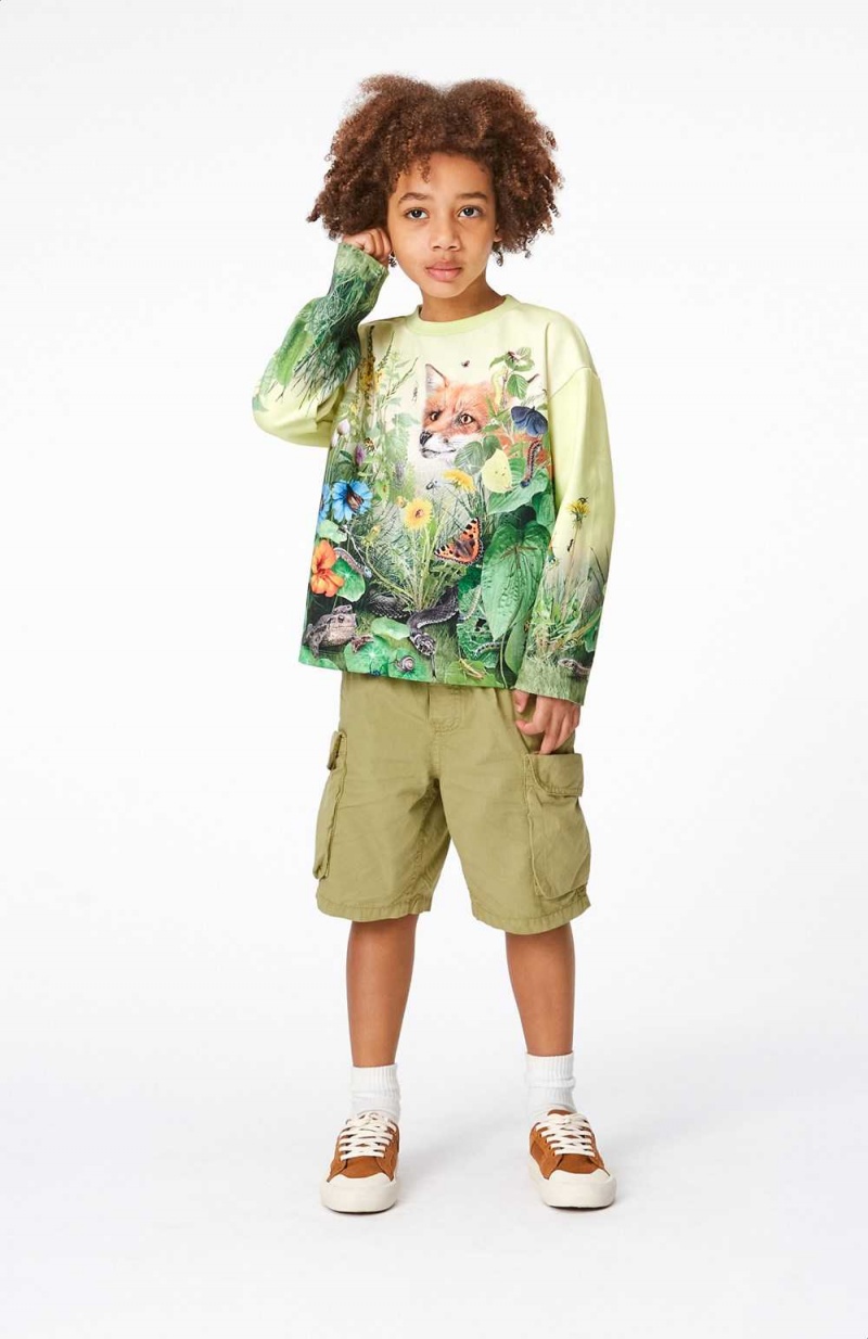 Sage Boys' Molo Argod Shorts | KSA000724