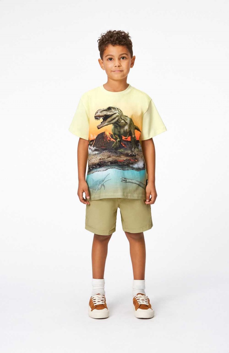 Sage Boys' Molo Ashby Shorts | KSA000712