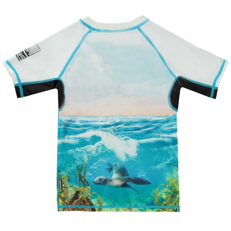 Sealion Molo Neptune Rash guards | KSA001074