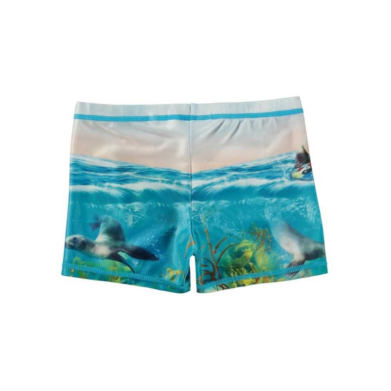 Sealion Molo Norton Placed Swimshorts | KSA001114