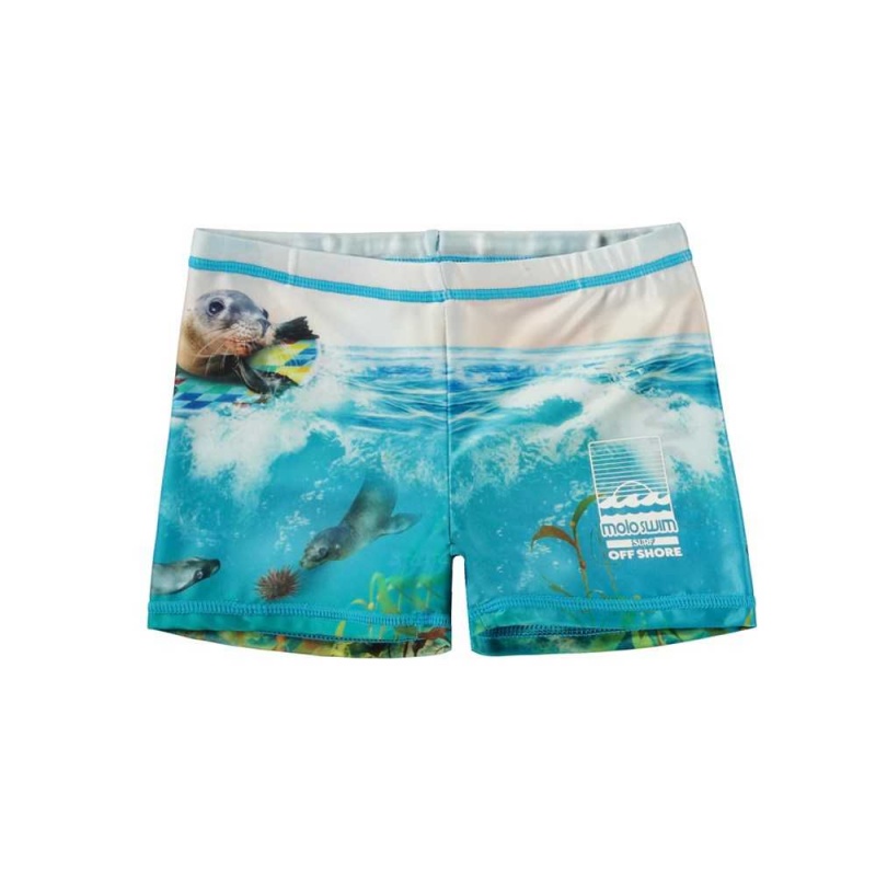 Sealion Molo Norton Placed Swimshorts | KSA001114