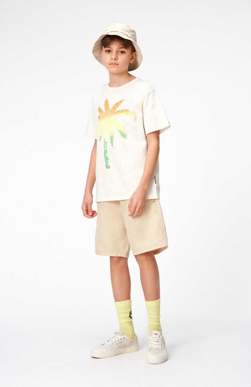 Spray Palm Boys' Molo Riley T Shirts Tops | KSA000769