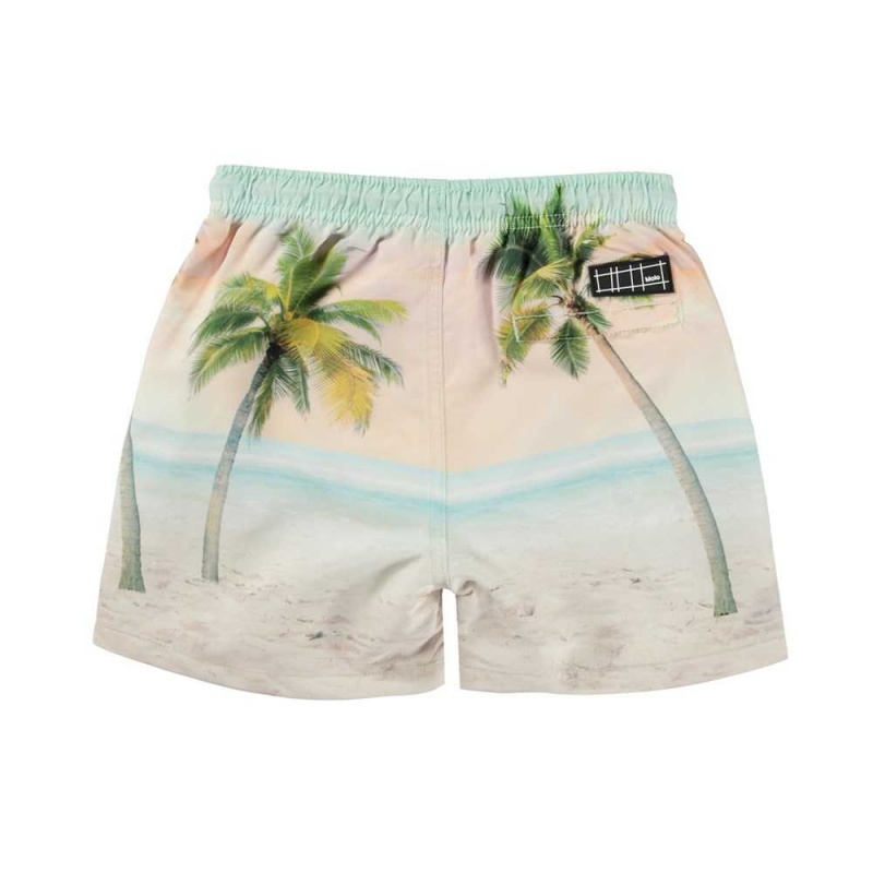 Sunrise Surfer Molo Niko Swimshorts | KSA001120